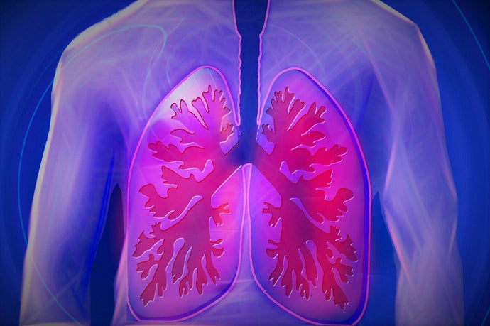 Lung Cancer Detection